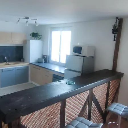 Maison 75 M2 Piscine Chauffee, Terrain De Tennis * Prigonrieux